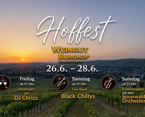 Hoffest Weingut Burghof, Stadecken-Elsheim